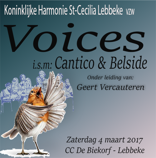 2017 Voices